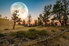 Moon Over Bryce