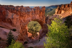 Bryce Arch