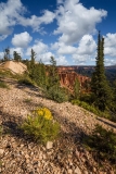 Spires of Orange and Green